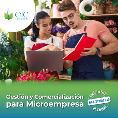 gestion-microempresa